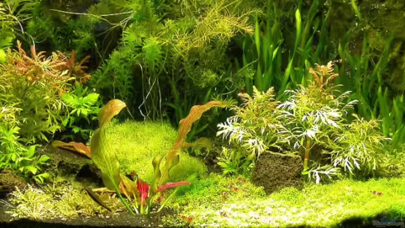 Hauptansicht 29.10.2007 von Susanne Schmohl (3)