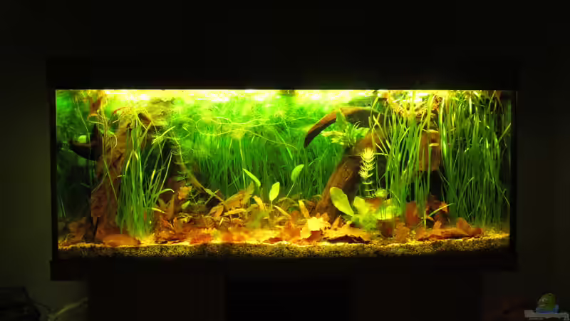 Hauptansicht älter von Der Bergzower (2)