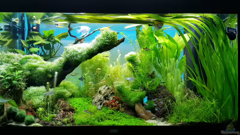 Hauptansicht am 10.01.2016 von Sebastian Hartmann (78)