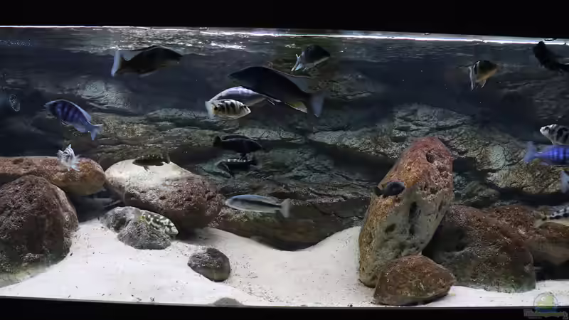 Hauptansicht am 10.01.2021 von Tom (7)