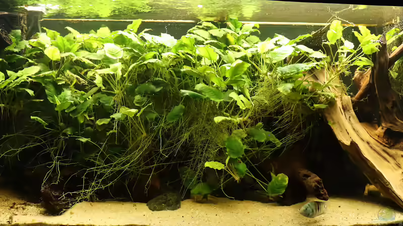 Hauptansicht am 17.10.2020 von Tom (1)