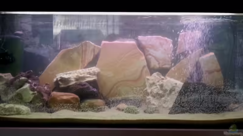 Hauptansicht Aquarium von 160 L Aufzuchts und Quarantänebecken von Michael Boeck (1)