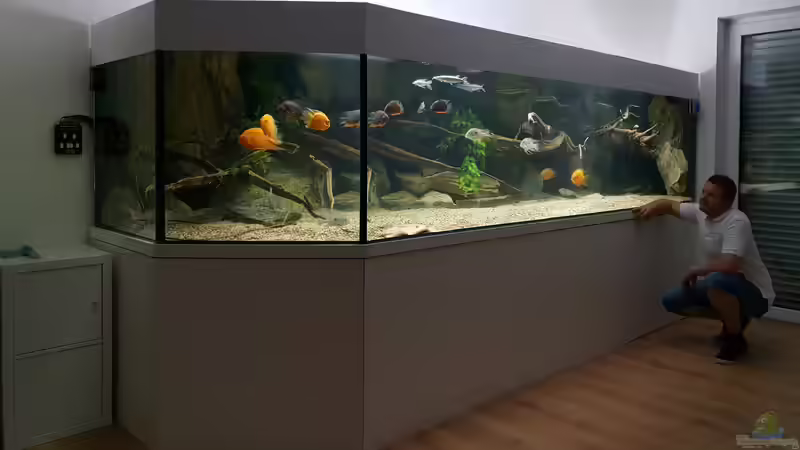 Hauptansicht Aquarium von 4.500l-Becken von Amazonasbecken.eu (1)