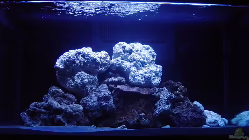 Hauptansicht Aquarium von A Piece of Reef Obsolete von The_Lizardking (1)