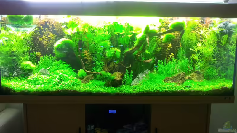 Hauptansicht Aquarium von a touch of nature von Panamericana85 (1)