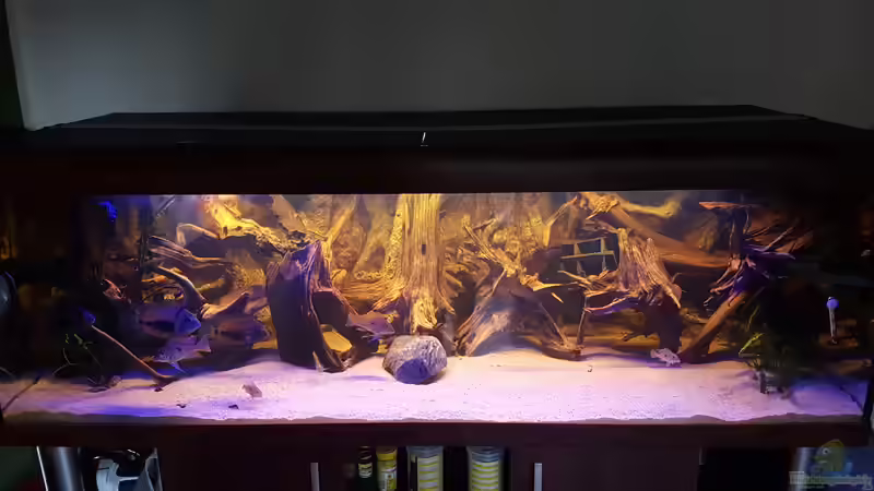 Hauptansicht Aquarium von Amazonas Biotop von OliminatorHD (1)