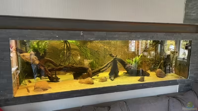 Hauptansicht Aquarium von Amazonas von Heini07 (1)