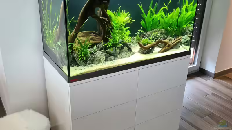 Hauptansicht Aquarium von AQ 01 von domnk (1)