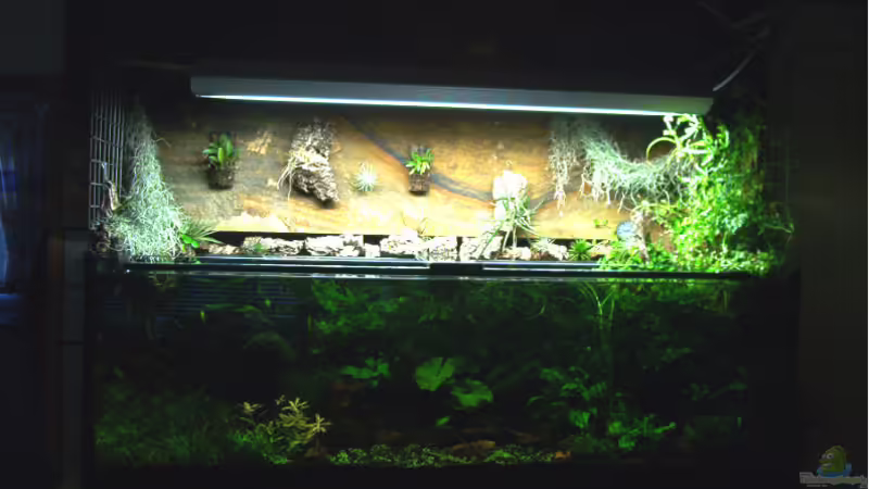 Hauptansicht Aquarium von Becken 1011 von Mirko Ritter (1)