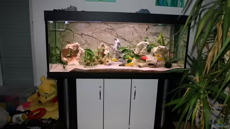 Hauptansicht Aquarium von Becken 11327 von brusti (1)