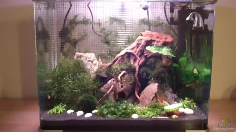 Hauptansicht Aquarium von Becken 12026 von Thorsten Kunkel (1)