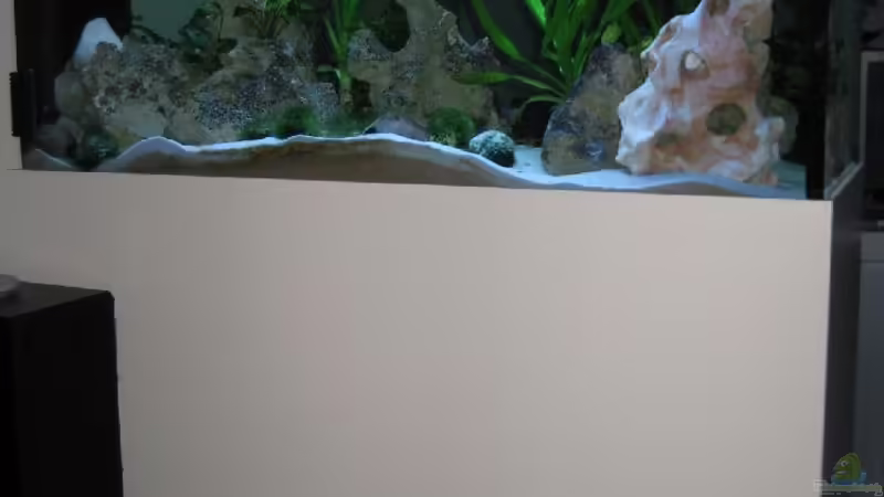 Hauptansicht Aquarium von Becken 12695 von Meike_R (1)