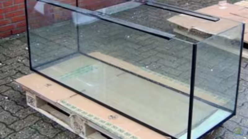 Hauptansicht Aquarium von Becken 13533 von Dominik Kampmann