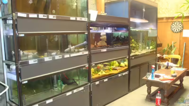 Hauptansicht Aquarium von Becken 14061 von lucky-luke.ch (1)