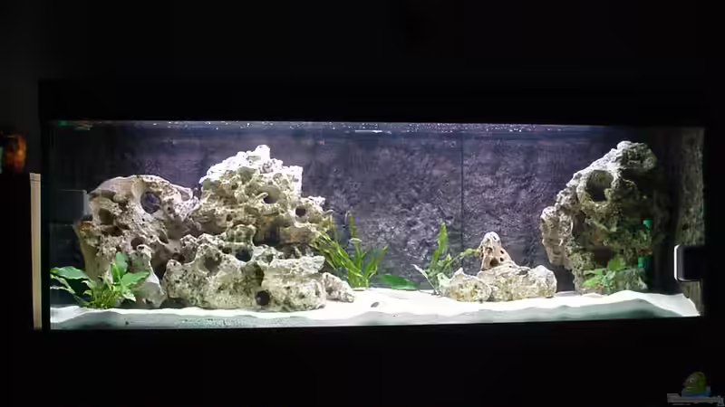 Hauptansicht Aquarium von Becken 178 von Uwe Veckenstedt (1)