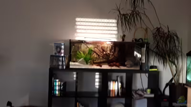 Hauptansicht Aquarium von Becken 2 von Kevin Fruhen