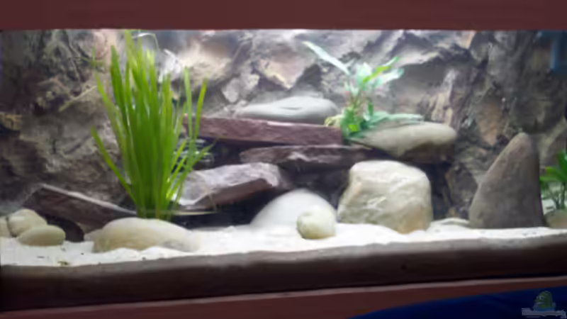 Hauptansicht Aquarium von Becken 237 von Mathias Popp (1)