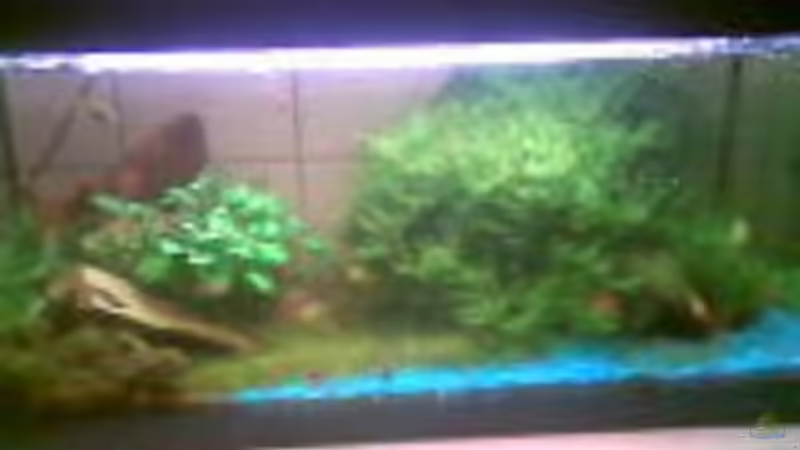 Hauptansicht Aquarium von Becken 3222 von Kai Dinkel (1)