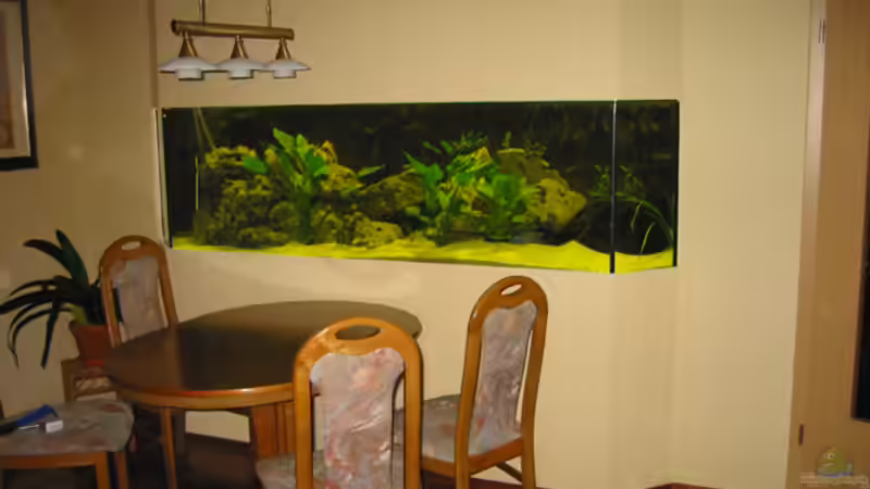 Hauptansicht Aquarium von Becken 449 von Andreas Pape (1)