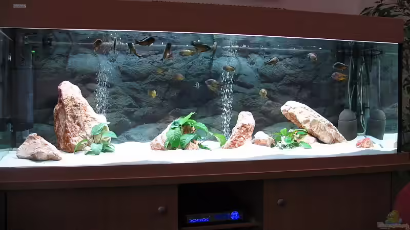 Hauptansicht Aquarium von Becken 5987 von Andreas Meudt (1)