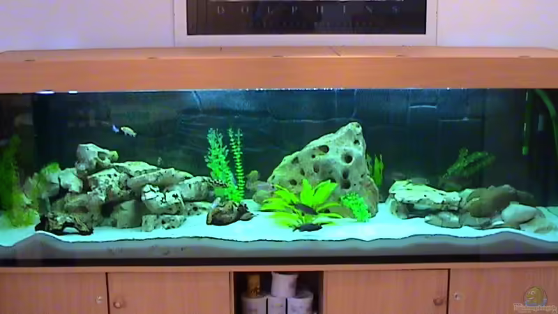 Hauptansicht Aquarium von Becken 81 von Thomas Stackmann (1)