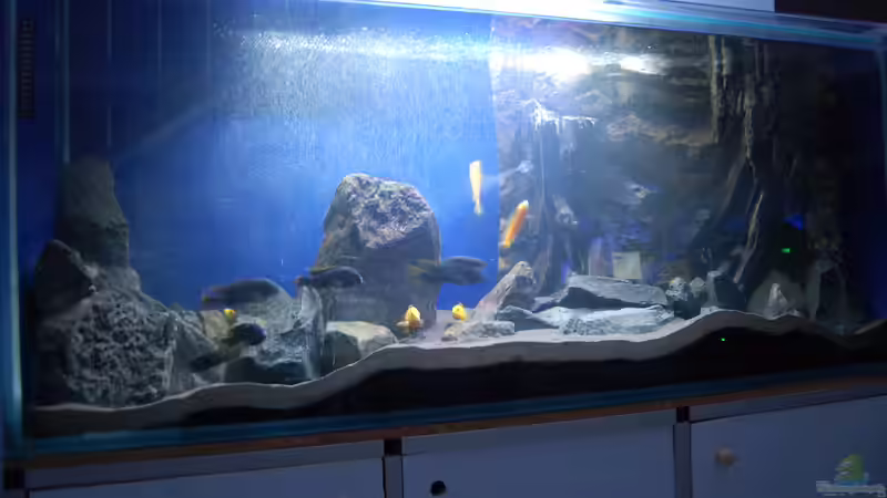 Hauptansicht Aquarium von Blauer Felsen von Christian Schlüter (1)