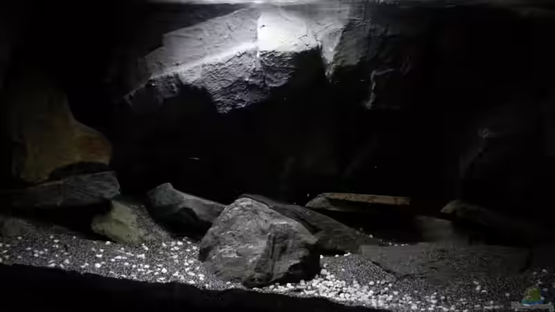 Hauptansicht Aquarium von Dark Cave of Masala Island von Julien Preuß (1)