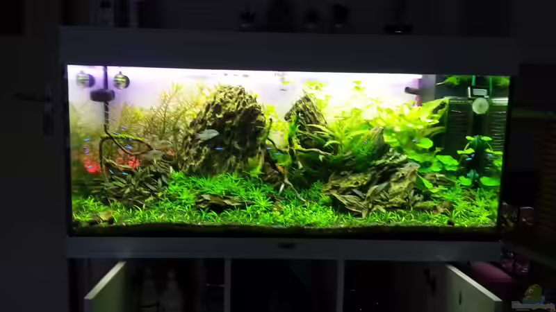 Hauptansicht Aquarium von Das Gezabel von Tschoui (1)
