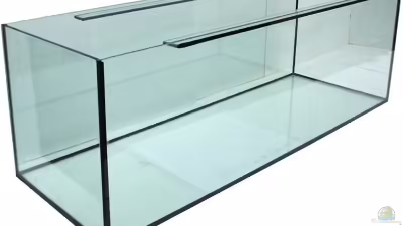 Hauptansicht Aquarium von das Kleine von Ba Bu (1)