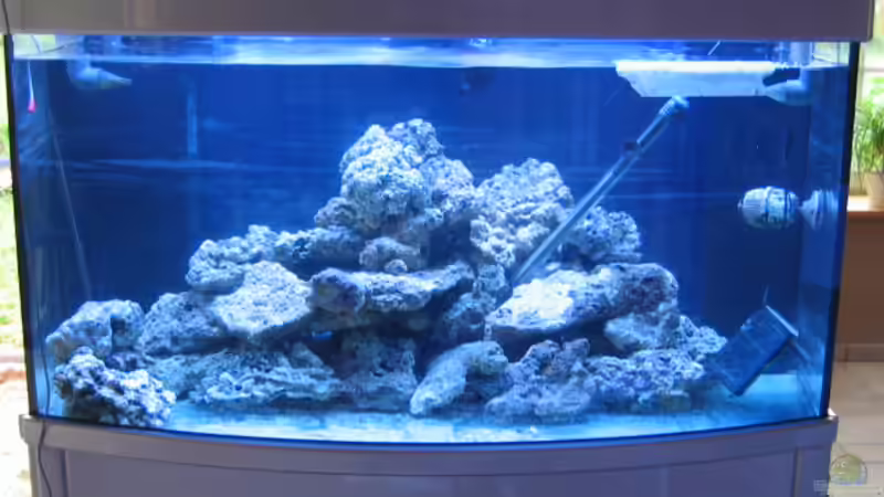 Hauptansicht Aquarium von Deltec von Holgi K. (1)