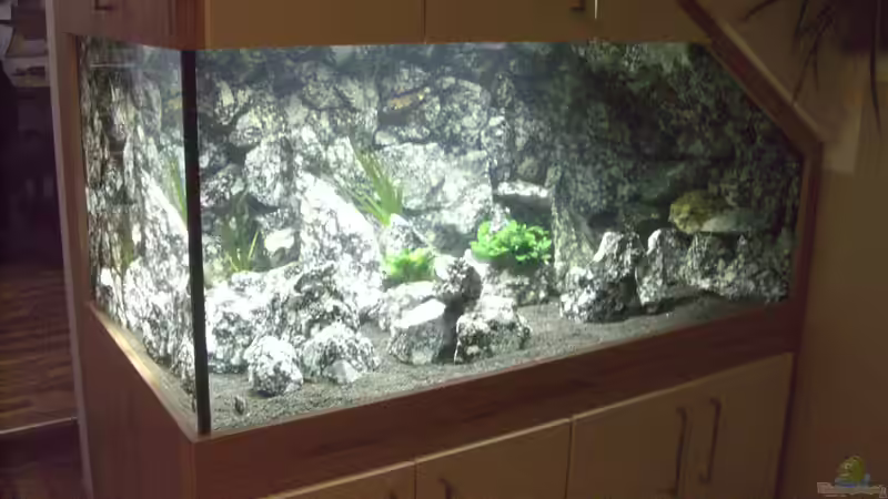 Hauptansicht Aquarium von Die Granithöhle von Markus Maier (1)