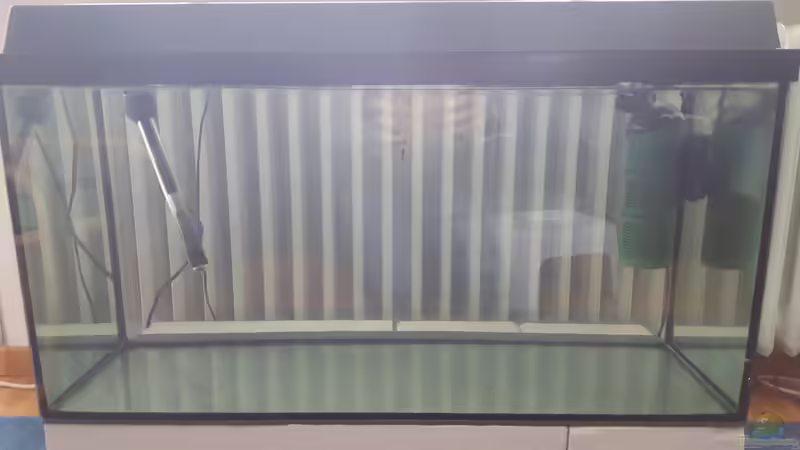 Hauptansicht Aquarium von Diskus Quarantäne Becken von Johannes L. (1)