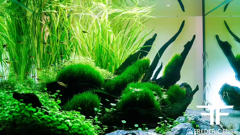 Hauptansicht Aquarium von Down under von Fredo Fuss (1)