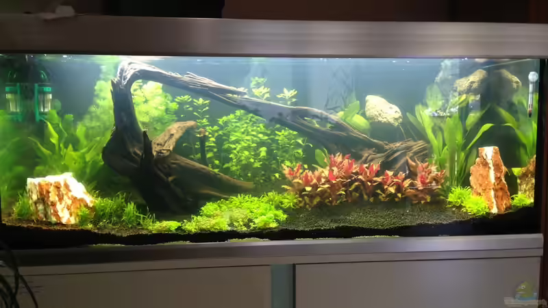 Hauptansicht Aquarium von EHEIM proxima 325 von AdAbsurdum (1)