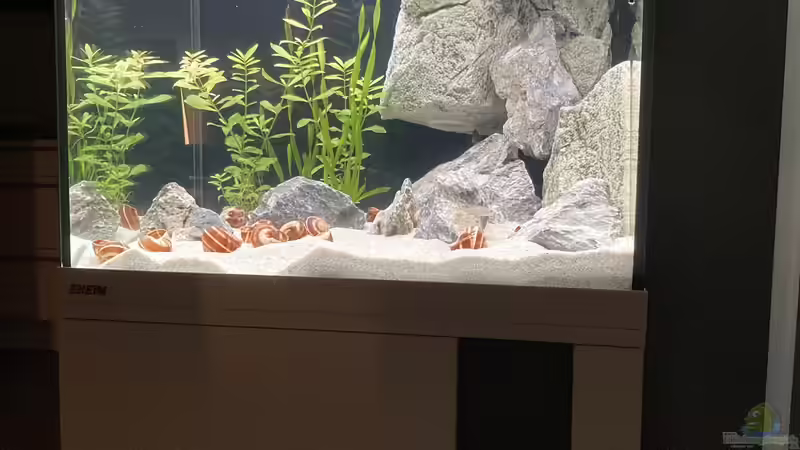 Hauptansicht Aquarium von Eheim Vivaline 150 von Daniel Martick (1)