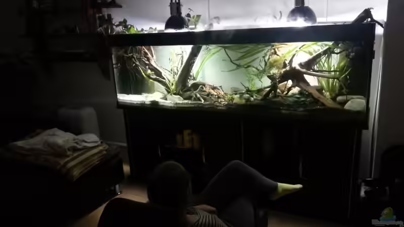 Hauptansicht Aquarium von erstes Südamerika Aquarium von seb (1)