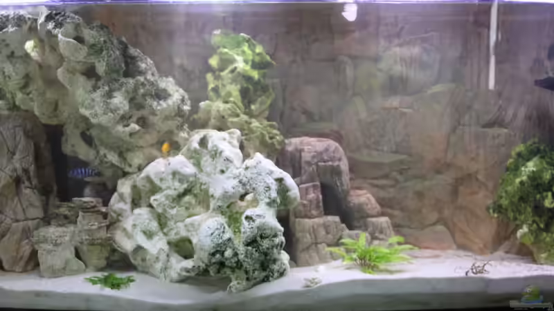 Hauptansicht Aquarium von finkys hood von finky (1)