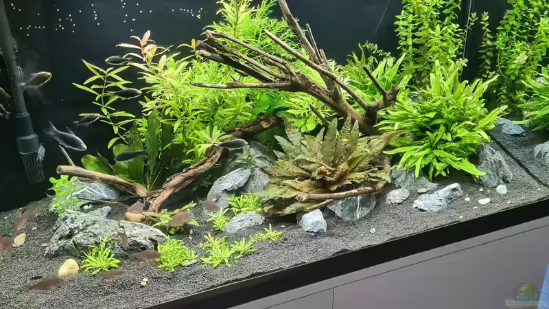 Hauptansicht Aquarium von Green Island von domnk (1)