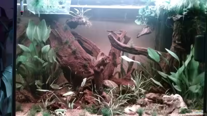 Hauptansicht Aquarium von Juwel Lido 200 weiss Fx von FleXx0 (1)