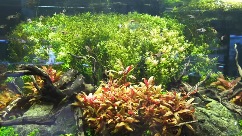 Hauptansicht Aquarium von Kölle Zoo von Koelle-Zoo (1)