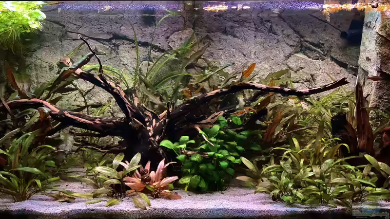 Hauptansicht Aquarium von Krabi-Thailand Becken von bluezone (1)