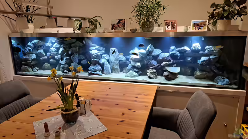 Hauptansicht Aquarium von Küchenfische von Raid_0 (1)