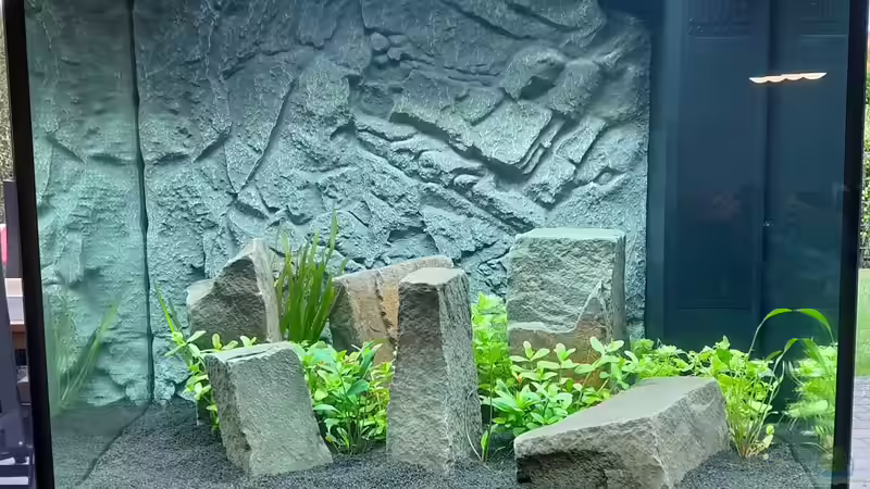 Hauptansicht Aquarium von Lido 200 - ein Wiedereinstieg von Leo123 (1)