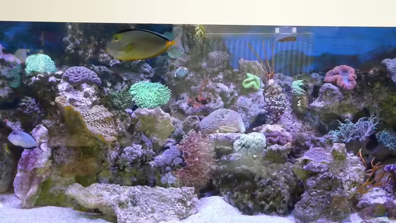 Hauptansicht Aquarium von Little Ocean... von Marc Waidelich (1)
