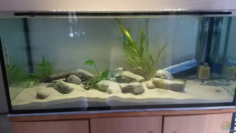 Hauptansicht Aquarium von Malavold von Sechzivold (1)