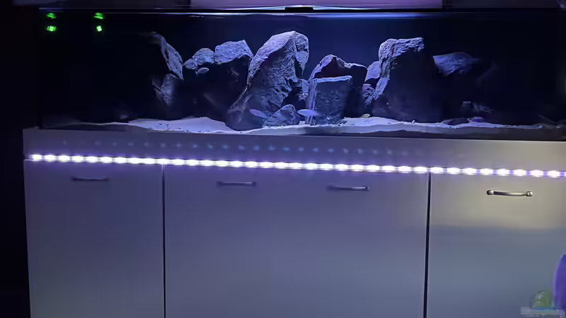 Hauptansicht Aquarium von Malawi Tank von Alex261084 (1)
