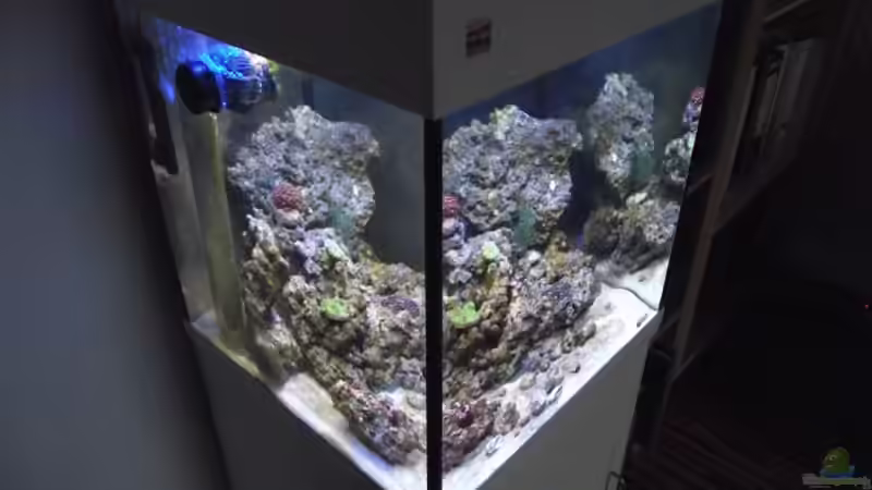 Hauptansicht Aquarium von Midi-Cube Meerwasser von Dr. Manhattan (1)