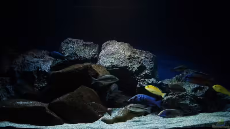 Hauptansicht Aquarium von MYlawi von Stefan Schmitt (1)