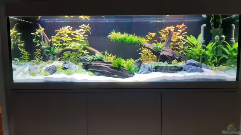 Hauptansicht Aquarium von Mystic River II von Aqua-Josh (1)