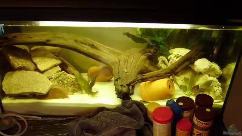 Hauptansicht Aquarium von Nur noch als Beispiel |Krebse von Andre@ (1)